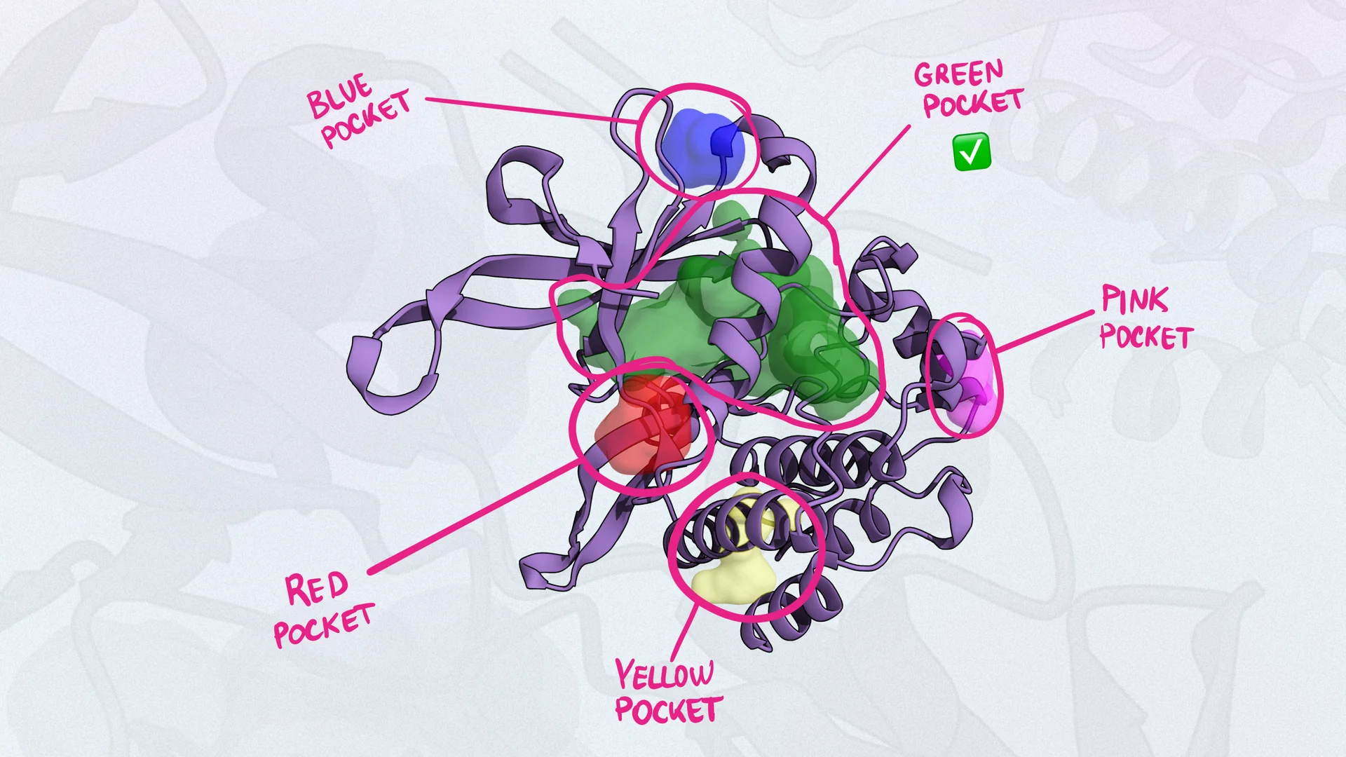 A Blind Spot in Drug Discovery: Pocket Finding